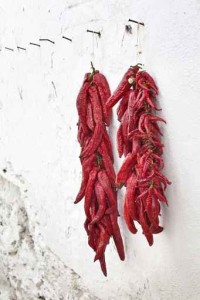 pimientos rojos secos colgados en la pared blanca.